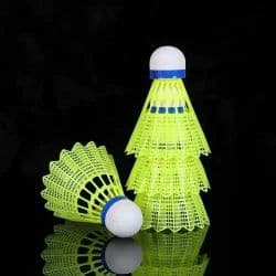 Meerut Queen Shuttlecock wholesale
